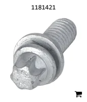 AGCO 1181421 Болт с головкой Torx