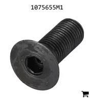 AGCO 1075655M1 Винт