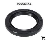 AGCO 395563X1 Уплотнения