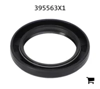 AGCO 395563X1 Уплотнения
