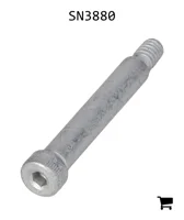 AGCO SN3880 Плечевой болт