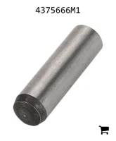 AGCO 4375666M1 Палец