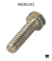 AGCO 401813X1 Винт