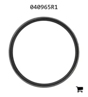 AGCO 040965R1 Уплотнение