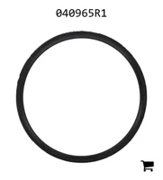 AGCO 040965R1 Уплотнение