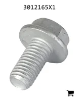 AGCO 3012165X1 Болт с шестигранной головкой и фланцем