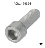 AGCO ACW1494390 Установочный винт с шестигранной головкой