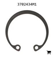 AGCO 3702434M1 Кольцо