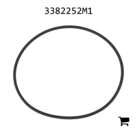 AGCO 3382252M1 Уплотнительное кольцо, Ø 117,07 X 3,53 мм