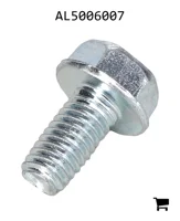 AGCO AL5006007 Винт