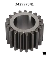 AGCO 3429973M1 Планетарная шестерня