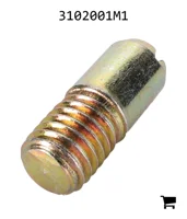 AGCO 3102001M1 Винт специальный