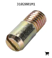 AGCO 3102001M1 Винт специальный