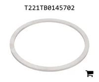 AGCO T221TB0145702 Шайба