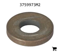 AGCO 3759973M2 Шайба
