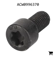 AGCO ACW0996370 Установочный винт с шестигранной головкой