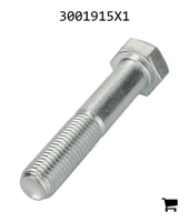 AGCO 3001915X1 Болт с шестигранной головкой