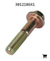 AGCO 3012186X1 Болт с шестигранной головкой и фланцем