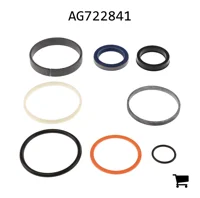 AGCO AG722841 Ремкомплект