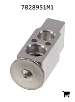 AGCO 7028951M1 Расширительный клапан