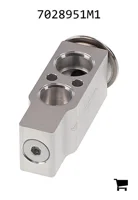 AGCO 7028951M1 Расширительный клапан