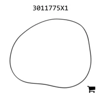 AGCO 3011775X1 Уплотнительное кольцо Powershift