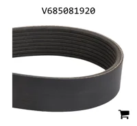 AGCO V685081920 Поликлиновой ремень