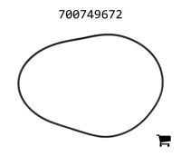 AGCO 700749672 Масляный сальник