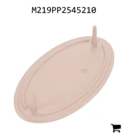 AGCO M219PP2545210 Крышка