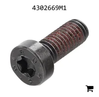 AGCO 4302669M1 Винт с потайной головкой