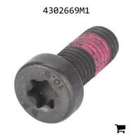 AGCO 4302669M1 Винт с потайной головкой