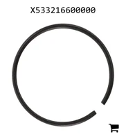 AGCO X533216600000 Стопорное кольцо