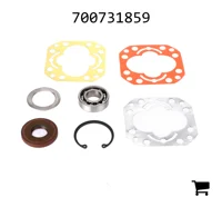 AGCO 700731859 Ремкомплект