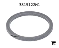 AGCO 3815122M1 Сальник трансмиссии