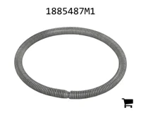 AGCO 1885487M1 Пружина