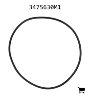 AGCO 3475630M1 Уплотнительное кольцо
