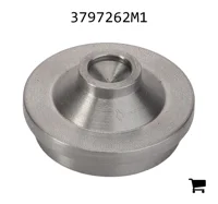 AGCO 3797262M1 Обратный клапан