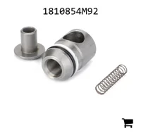 AGCO 1810854M92 Комплект клапанов