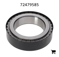AGCO 72479585 Цилиндрический роликовый подшипник