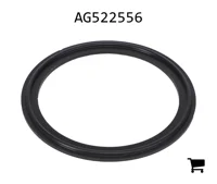 AGCO AG522556 Уплотнительное кольцо