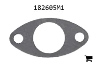 AGCO 182605M1 Прокладка