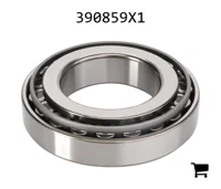 AGCO 390859X1 Конический роликовый подшипник дифференциала