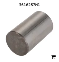 AGCO 3616287M1 Поршень