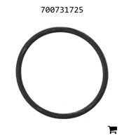 AGCO 700731725 Уплотнительное кольцо заглушки LSQ 2"