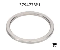 AGCO 3794773M1 Шайба