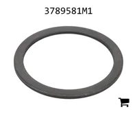 AGCO 3789581M1 Шайба