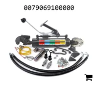 AGCO 0079069100000 Гидроцилиндр навески