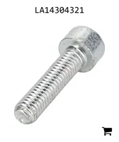 AGCO LA14304321 Винт с шестигранной головкой