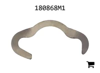 AGCO 180868M1 Шайба