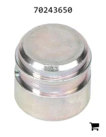 AGCO 70243650 Клапан